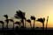 egypt Photos
