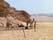 egypt Photos