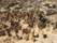 egypt Photos