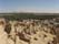 egypt Photos